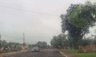 Estado continua com chuva em diferentes cidades e temperaturas amenas