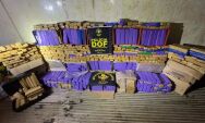 Dupla &eacute; presa enquanto pesava e embalava 1,5 toneladas de maconha
