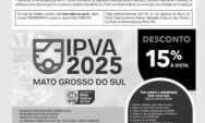 IPVA 2025: o que acontece se eu n&atilde;o pagar o imposto?