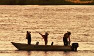Modalidade 'pesque e solte' est&aacute; liberada na calha do rio Paraguai a partir de s&aacute;bado
