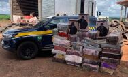 PRF apreende quase seis toneladas de maconha em Ponta Por&atilde;
