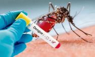 Casos de dengue tipo 3 s&atilde;o registrados em 15 munic&iacute;pios de MS e deixa &oacute;rg&atilde;os respons&aacute;veis em alerta