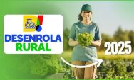 Programa Desenrola Rural entra em vigor