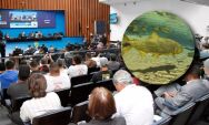 Audi&ecirc;ncia p&uacute;blica na Alems discutir&aacute; proibi&ccedil;&atilde;o da pesca de 29 esp&eacute;cies de peixes por cinco anos
