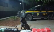 PRF apreende 125 kg de coca&iacute;na escondidos em carga de carne em Terenos
