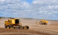 Produ&ccedil;&atilde;o agr&iacute;cola de Mato Grosso do Sul deve chegar a 75,3 milh&otilde;es de toneladas na safra 2024/25