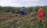 Piloto morre em queda de avi&atilde;o agr&iacute;cola

