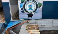 Durante feriado de carnaval PMA flagra pescadores
praticando pesca predat&oacute;ria
