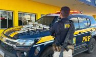 PRF prende passageiro de &ocirc;nibus transportando mais de 10 kg de maconha em Coxim