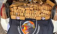 Mais de 700 kg de maconha s&atilde;o apreendidos em Dourados; preju&iacute;zo &eacute; de R$ 1,5 milh&atilde;o ao tr&aacute;fico

