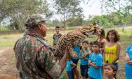 PMA refor&ccedil;a orienta&ccedil;&otilde;es para evitar alimenta&ccedil;&atilde;o de animais silvestres no Pantanal
