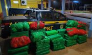 Ap&oacute;s fuga, condutor abandona ve&iacute;culo com mais de uma tonelada de drogas na BR-163
