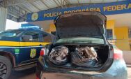 PRF apreende 70 kg de cabelo humano sem nota fiscal na BR-262
