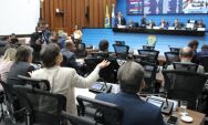 Proposta que apresenta diretrizes de prote&ccedil;&atilde;o &agrave;s m&atilde;es at&iacute;picas ser&aacute; votada