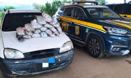 PRF apreende 11,19 kg de maconha durante abordagem na BR-163, em Coxim