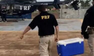PRF auxilia com helic&oacute;ptero transporte de &oacute;rg&atilde;os para transplante em MS