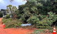Homem morre eletrocutado enquanto podava &aacute;rvore em propriedade rural
