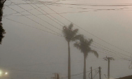 Coxim amanheceu ontem (10) com 21&deg;C e forte
neblina. Ser&aacute; que vem
frente fria por a&iacute;?