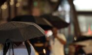 &Aacute;gua da chuva pode estar contaminada por agrot&oacute;xico, diz estudo
