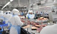 S&atilde;o Gabriel do Oeste e Rio Verde se destacam na gera&ccedil;&atilde;o de empregos na ind&uacute;stria em MS