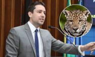 'Lei da On&ccedil;a': Ap&oacute;s morte de caseiro, deputado apresenta projeto de prote&ccedil;&atilde;o a animais e produtores