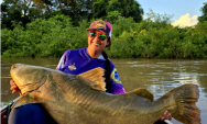Pescadora fisga ja&uacute; de 1,47m no rio Miranda e protagoniza emocionante cena