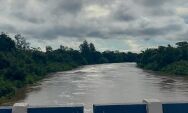 Chuvas reduzem estresse h&iacute;drico no Pantanal e colocam Rio Miranda em emerg&ecirc;ncia
