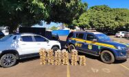 PRF apreende 191,8 kg de maconha escondidos em ve&iacute;culo na BR-060

