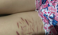 Print mostra conversa entre adolescente e v&iacute;tima:"gostou de se cortar pro papai"
