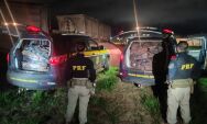 PRF apreende mais de uma tonelada de drogas em carga de min&eacute;rio em Mato Grosso do Sul.