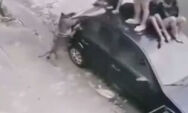 Crian&ccedil;as sobem em carro para se defender de ataque de Pitbull