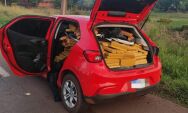 Persegui&ccedil;&atilde;o termina com pris&atilde;o e apreens&atilde;o de 674 kg de maconha
