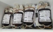 Hemosul realiza coleta de sangue em Coxim nesta ter&ccedil;a-feira
