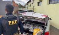 Casal &eacute; preso com mais de 335 kg de drogas em rodovia de MS
