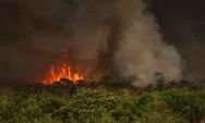 C&acirc;mara aprova aumento de puni&ccedil;&atilde;o a quem provocar inc&ecirc;ndios florestais