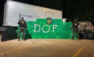 Caminh&atilde;o com mais de 1,5 tonelada de maconha &eacute; apreendido pelo DOF na MS-164