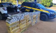 Pol&iacute;cia apreende 711,7 kg de maconha e recupera ve&iacute;culo furtado na BR-158
