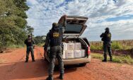 Condutor abandona carro com agrot&oacute;xicos ilegais e foge em lavoura de milho em MS
