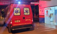 Beb&ecirc; de cinco meses n&atilde;o resiste e morre ap&oacute;s acidente com animais soltos na MS-430, em S&atilde;o Gabriel 