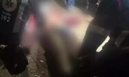 Rapaz tem art&eacute;ria rompida e orelha dilacerada ap&oacute;s ataque de 3 pitbulls em MS