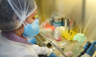 Vacina contra zika desenvolvida pela USP apresenta resultados positivos em testes com camundongos
