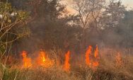  Inc&ecirc;ndio assusta moradores do Nova Coxim e mobiliza Corpo de Bombeiros