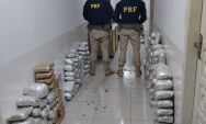 PRF apreende 205 kg de maconha e 20 kg de coca&iacute;na em &ocirc;nibus na BR-262, em Corumb&aacute;
