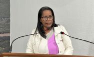 C&acirc;mara aprova cria&ccedil;&atilde;o de programa de capacita&ccedil;&atilde;o escolar para atendimento de estudantes com TEA
