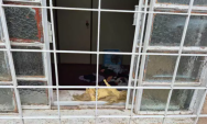 Menina de 6 anos &eacute; encontrada morta em resid&ecirc;ncia na Capital; suspeito est&aacute; foragido
