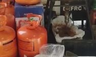 Pol&iacute;cia fecha laborat&oacute;rio de "maconha especial" em MS que vale R$ 100 mil/kg