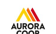 Aurora Coop realiza sele&ccedil;&atilde;o para novas contrata&ccedil;&otilde;es em Coxim nesta quinta-feira
