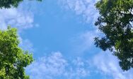         Sol forte e alerta de baixa umidade em Coxim neste s&aacute;bado 30/08)