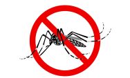 Mortes por dengue em Coxim acendem sinal vermelho: MS j&aacute; soma 33 v&iacute;timas em 2025 