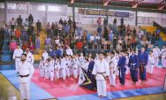 Judocas de S&atilde;o Gabriel do Oeste brilham no 2&ordm; Festival Sementinhas de Jud&ocirc; em Navira&iacute;
